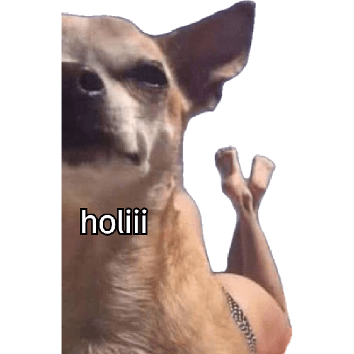 Memes 1.0 7