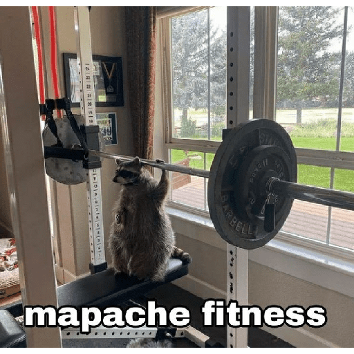 Mapache || by: Tofii 2