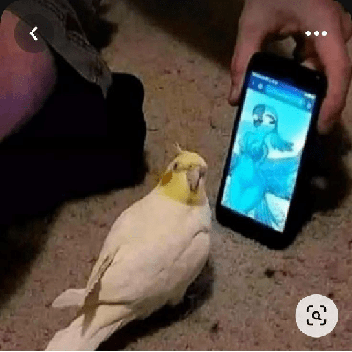 Para o meu amigo da lancha  17