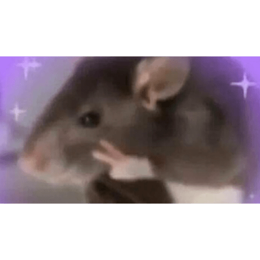 Animalitos 2.0 22