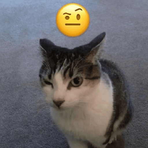 Cat & dog 3# 17