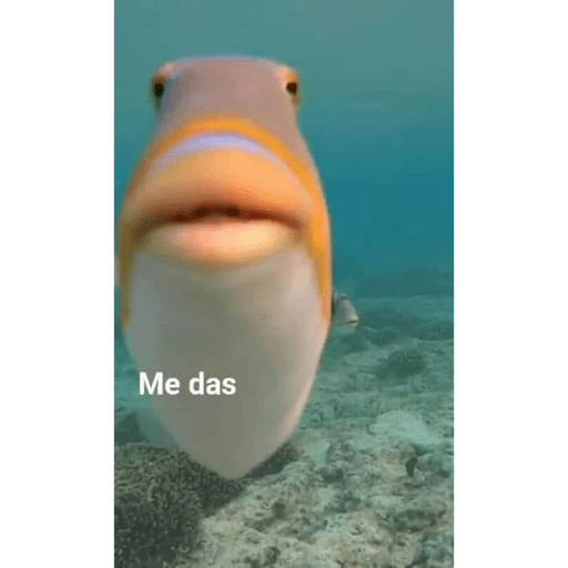 Animalitos 2.0 15
