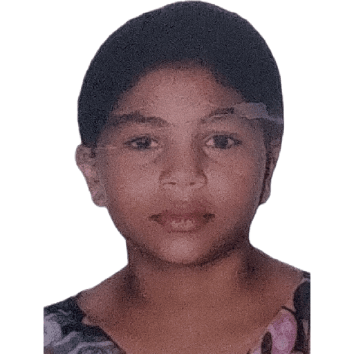 Aleatório 13