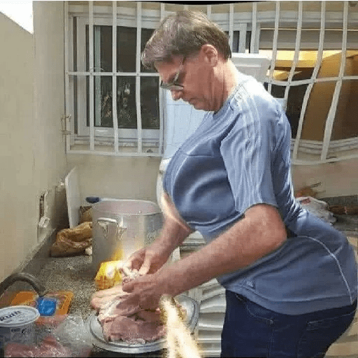 Bolsonaro meme 15