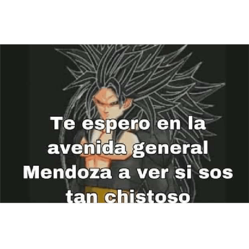Mames 15