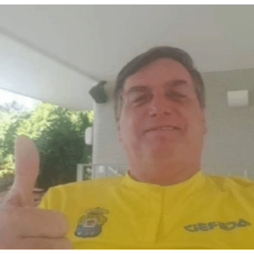 Bolsonaro meme 11