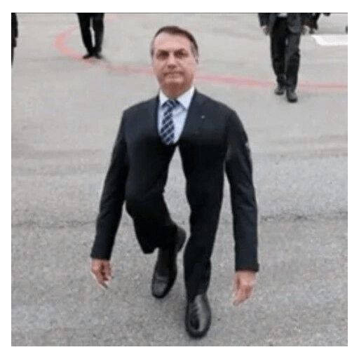 Bolsonaro meme 17