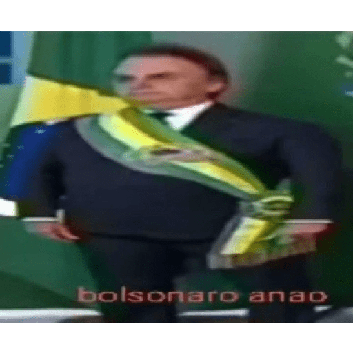 Bolsonaro meme 16