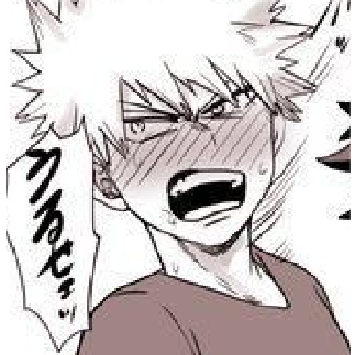 Bkdk2.0 6