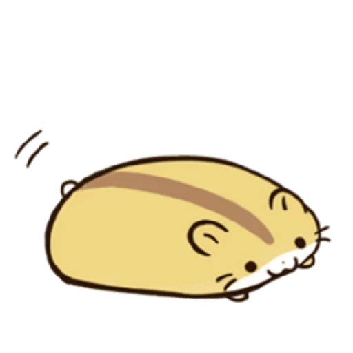 Hamsters 4
