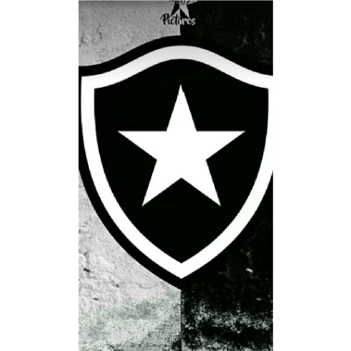 Pacote do botafogo 16
