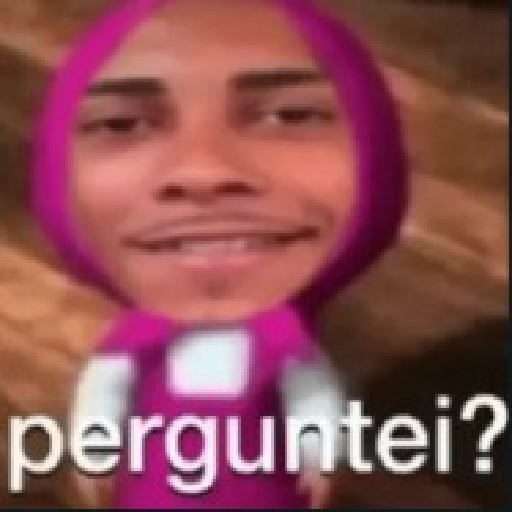 Sou petista 4
