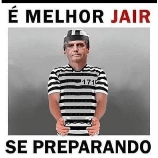 Bolsonaro meme 10