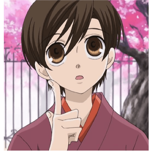 Ouran high School host club 27