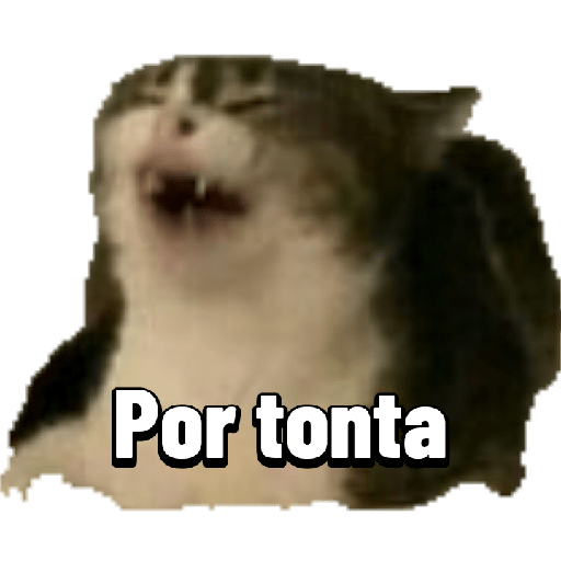 Enojo 17