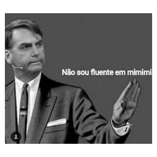Bolsonaro meme 9