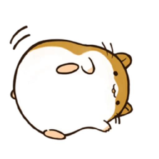 Hamsters 15
