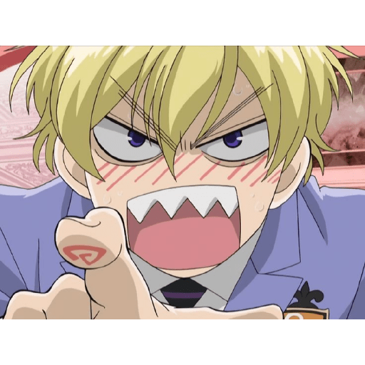 Ouran high School host club 20