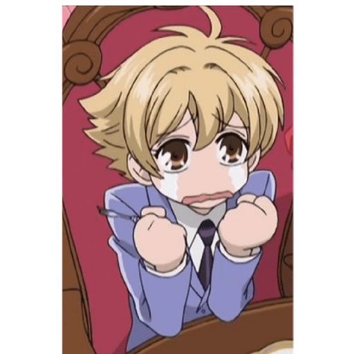 Ouran high School host club 22