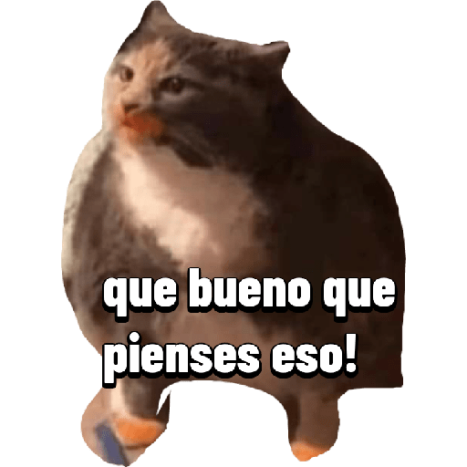 Enojo 29
