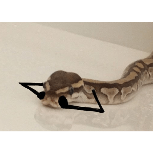 Emotional snake 27