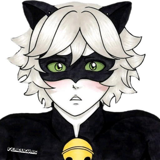 🌻❣️Miraculous ladybug❣️🌻 20