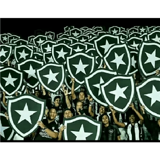 Pacote do botafogo 11