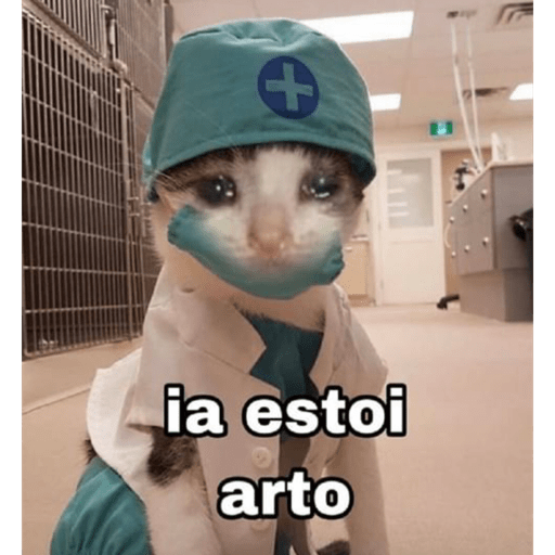 Animalitos 2.0 17