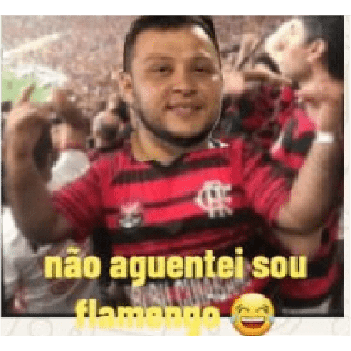 Memesfla 2
