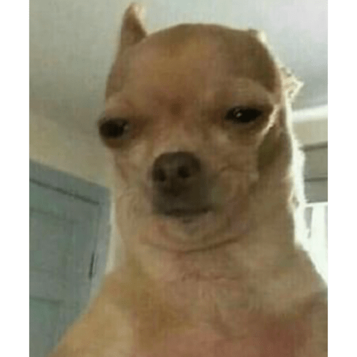 Animalitos 2.0 20