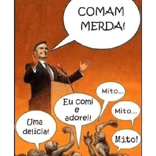 Bolsonaro meme 13