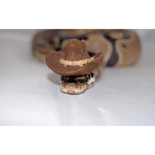 Emotional snake 19