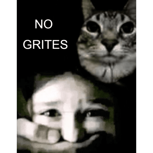 Xddddd 17