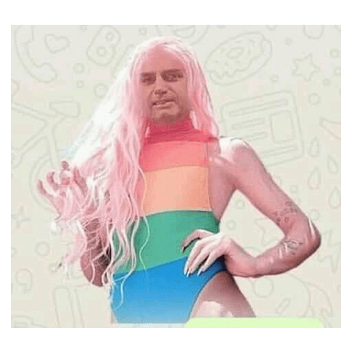 Bolsonaro meme 7