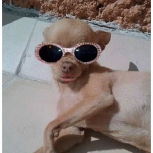 Animalitos 2.0 19