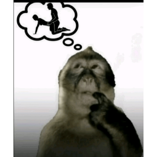 Mimir 6