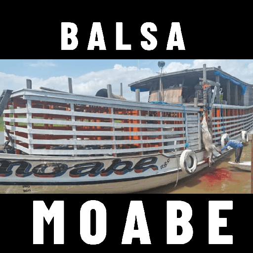 Aleatório 15