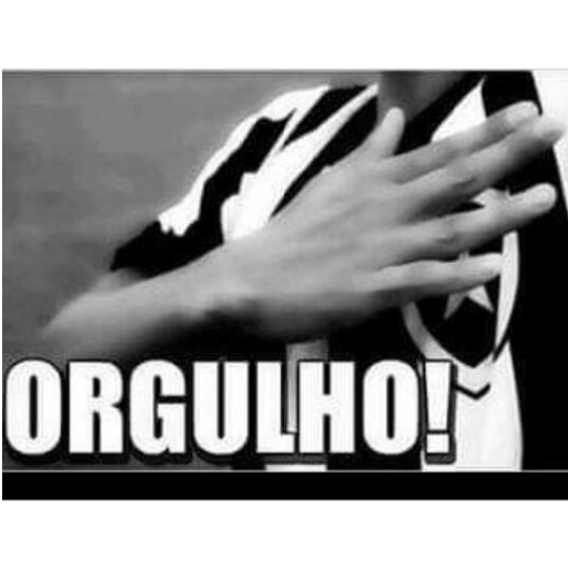 Pacote do botafogo 17