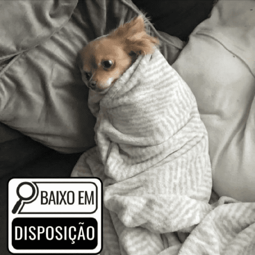 Cat & dog 3# 8
