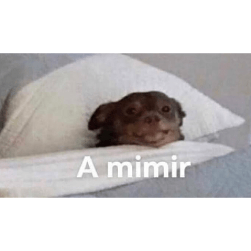 Animalitos 2.0 16