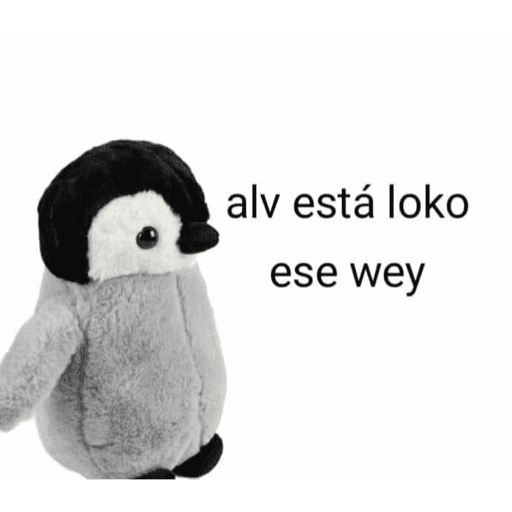Xddddd 13