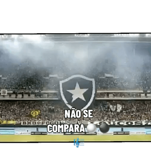 Pacote do botafogo 13