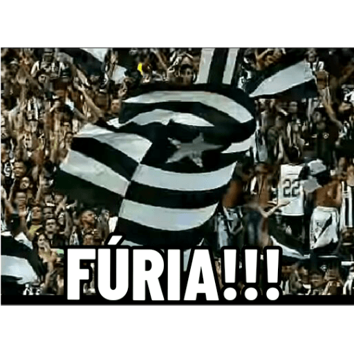 Pacote do botafogo 9