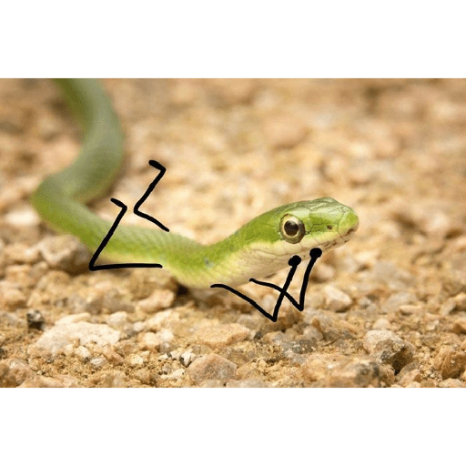 Emotional snake 25