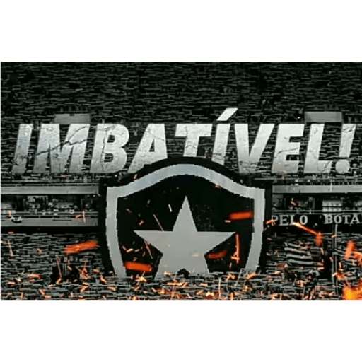 Pacote do botafogo 8
