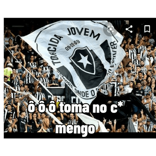 Pacote do botafogo 4