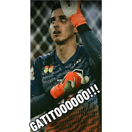 Pacote do botafogo 6