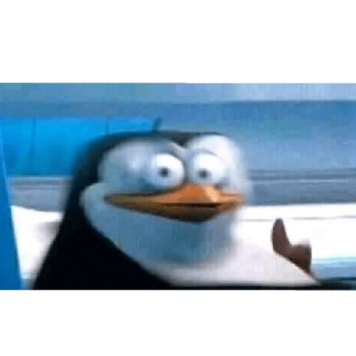 Meus Memes I 11