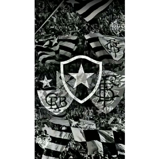 Pacote do botafogo 7