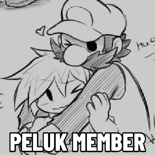 RANDOMIZER 13
